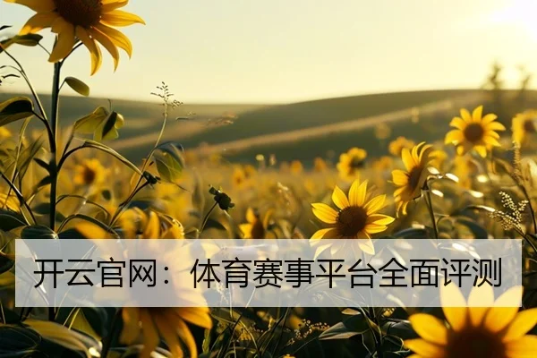 开云官网：体育赛事平台全面评测